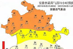 邮报：霍奇森仍将执教水晶宫，但如果继续输球可能会下课